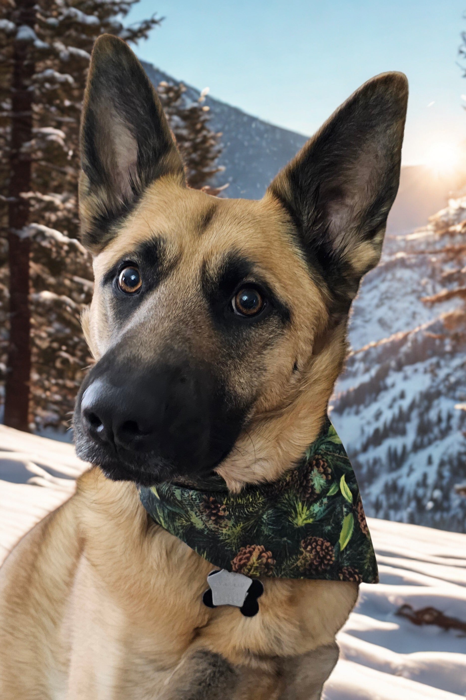 Pine Cone Pup Classic Bandanas