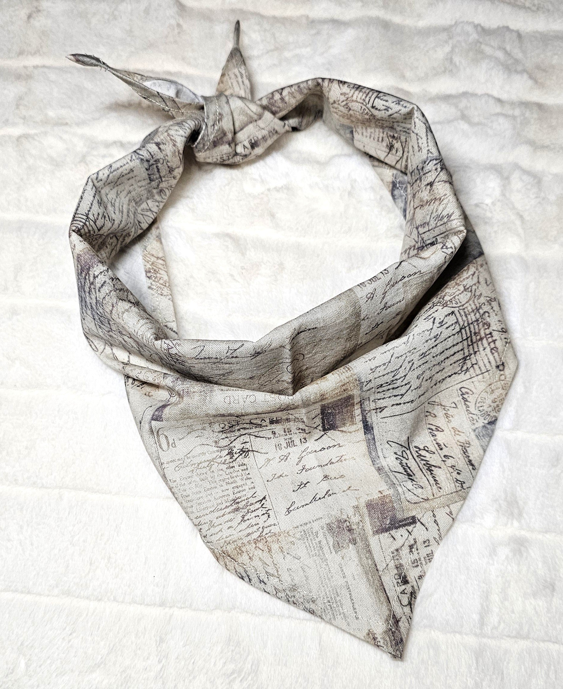 Pawscard Adventure Classic Bandanas